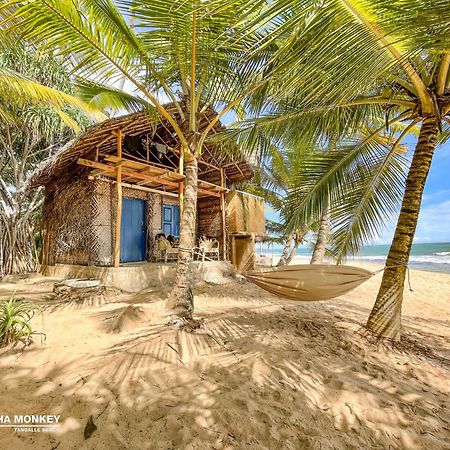 The Alpha Monkey Hotel & Tree House タンガラ エクステリア 写真