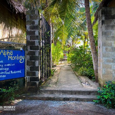The Alpha Monkey Hotel & Tree House タンガラ エクステリア 写真