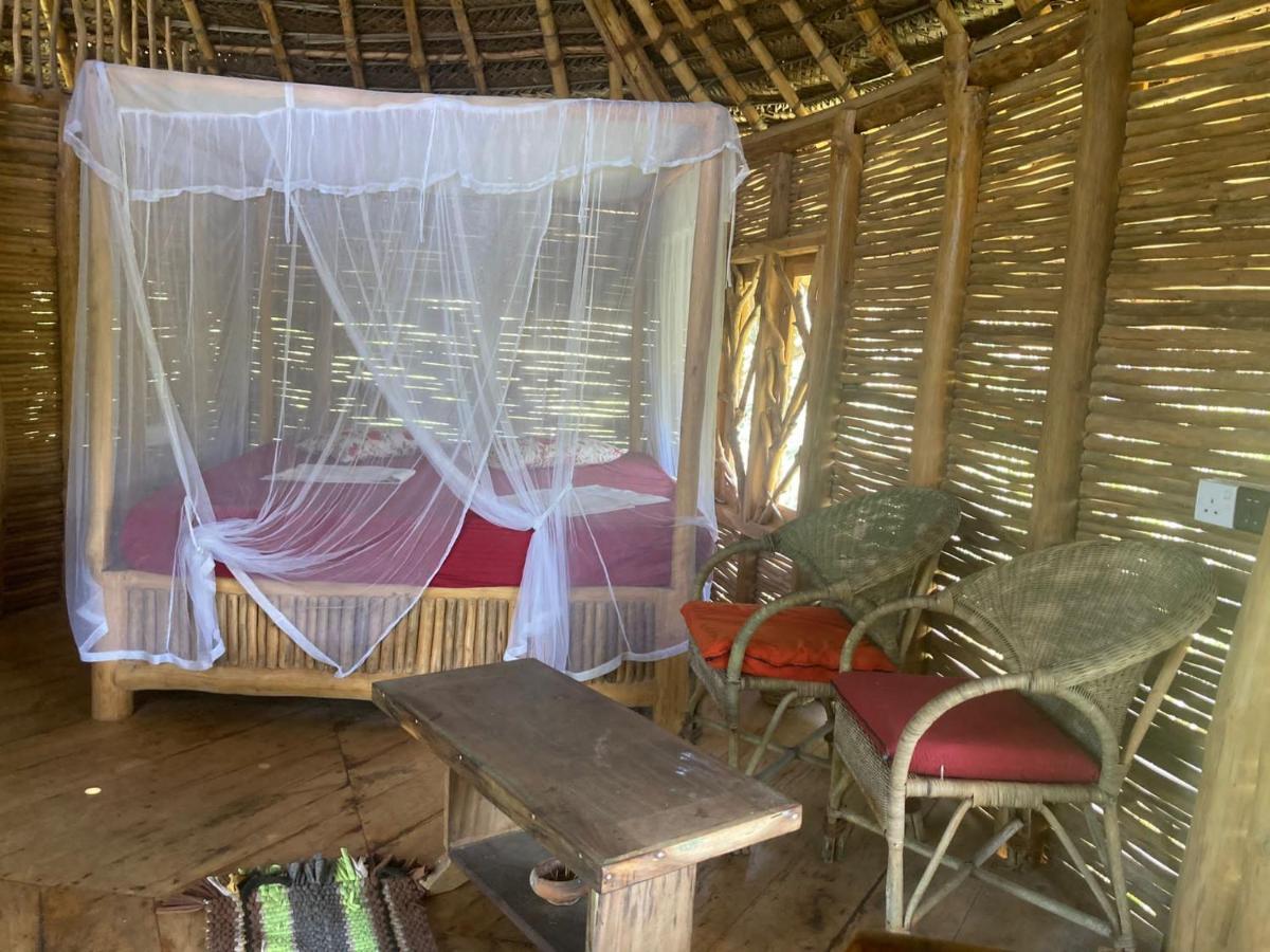 The Alpha Monkey Hotel & Tree House タンガラ エクステリア 写真