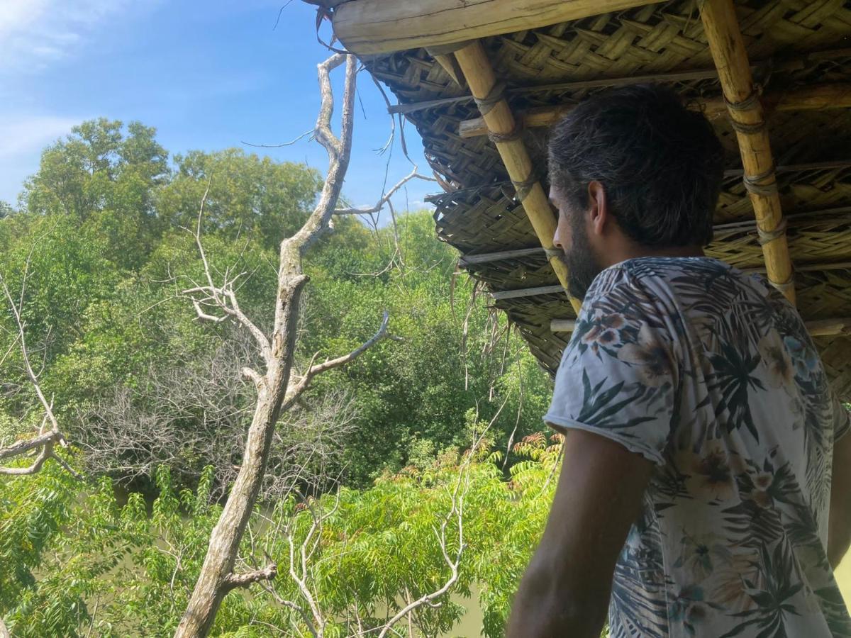 The Alpha Monkey Hotel & Tree House タンガラ エクステリア 写真