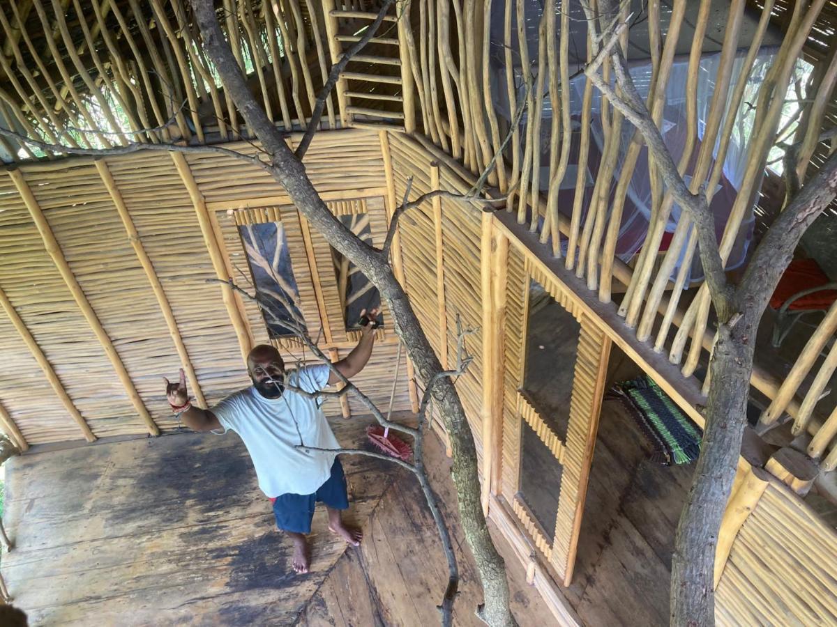 The Alpha Monkey Hotel & Tree House タンガラ エクステリア 写真