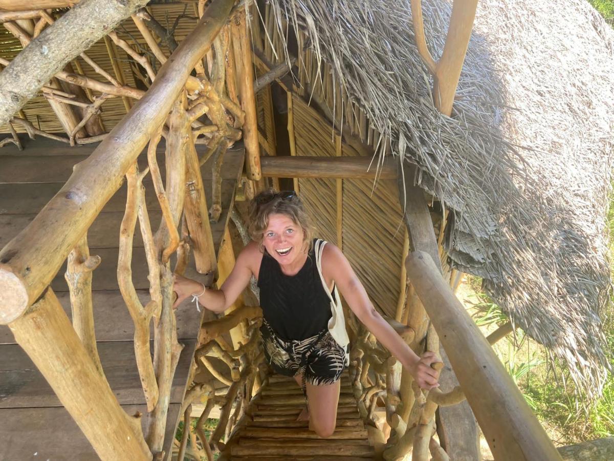 The Alpha Monkey Hotel & Tree House タンガラ エクステリア 写真