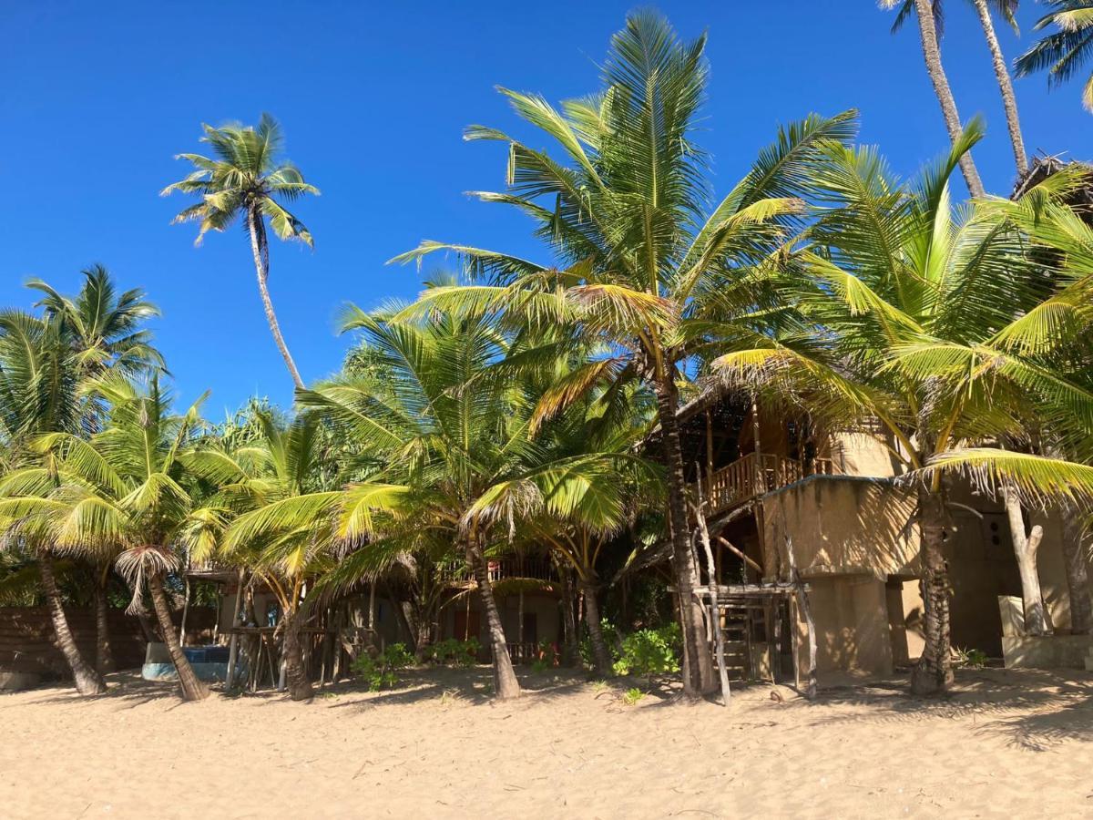The Alpha Monkey Hotel & Tree House タンガラ エクステリア 写真