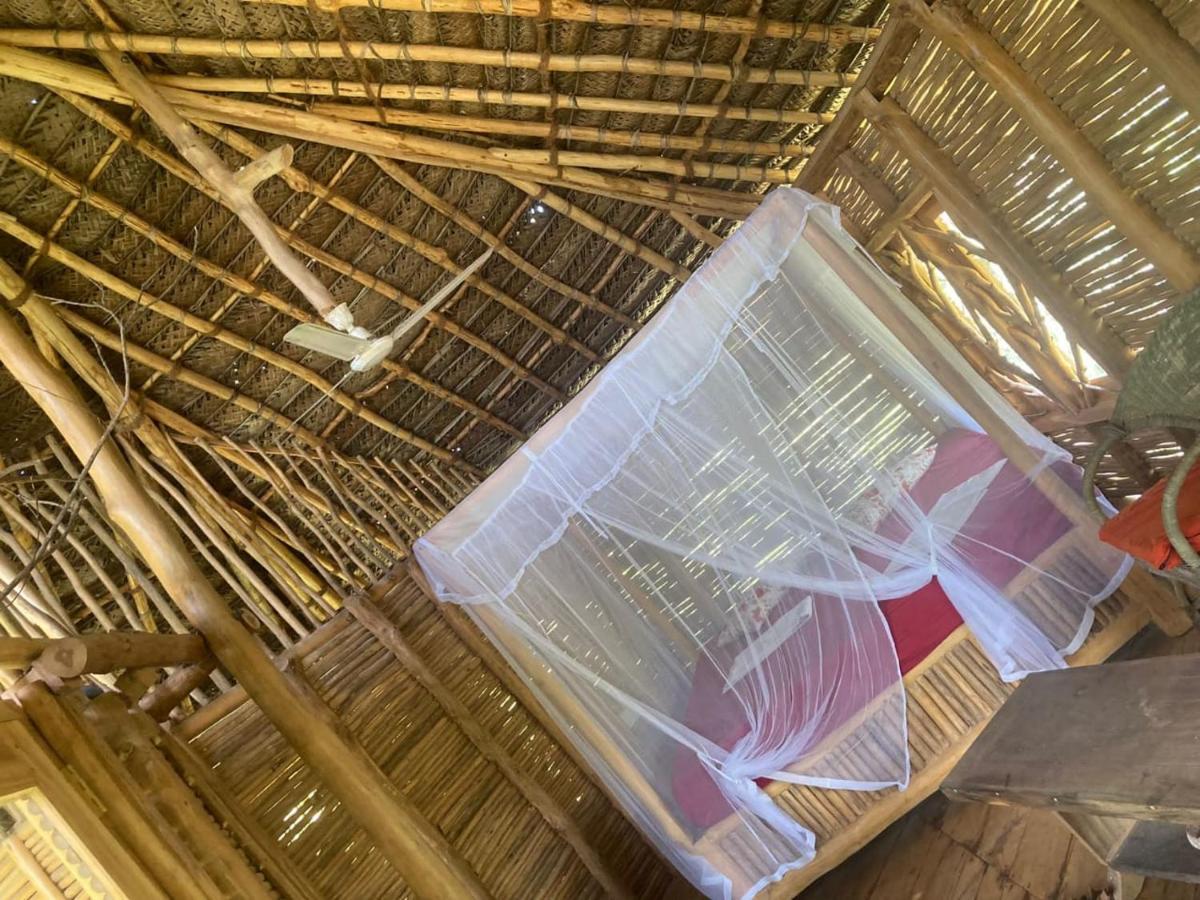 The Alpha Monkey Hotel & Tree House タンガラ エクステリア 写真