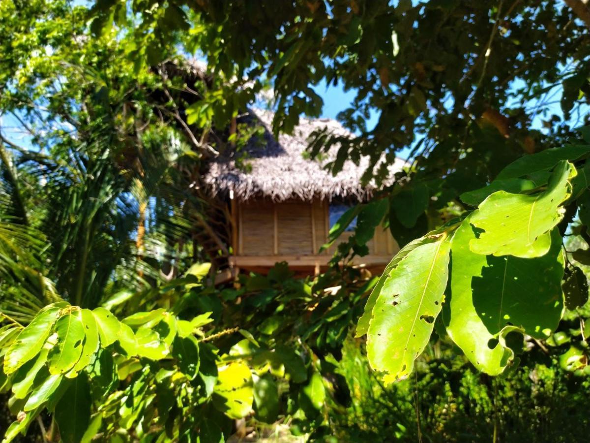 The Alpha Monkey Hotel & Tree House タンガラ エクステリア 写真