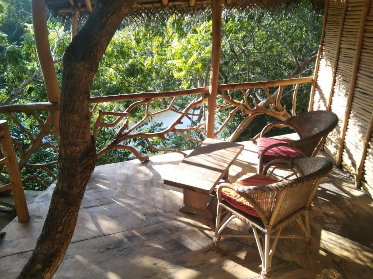 The Alpha Monkey Hotel & Tree House タンガラ エクステリア 写真