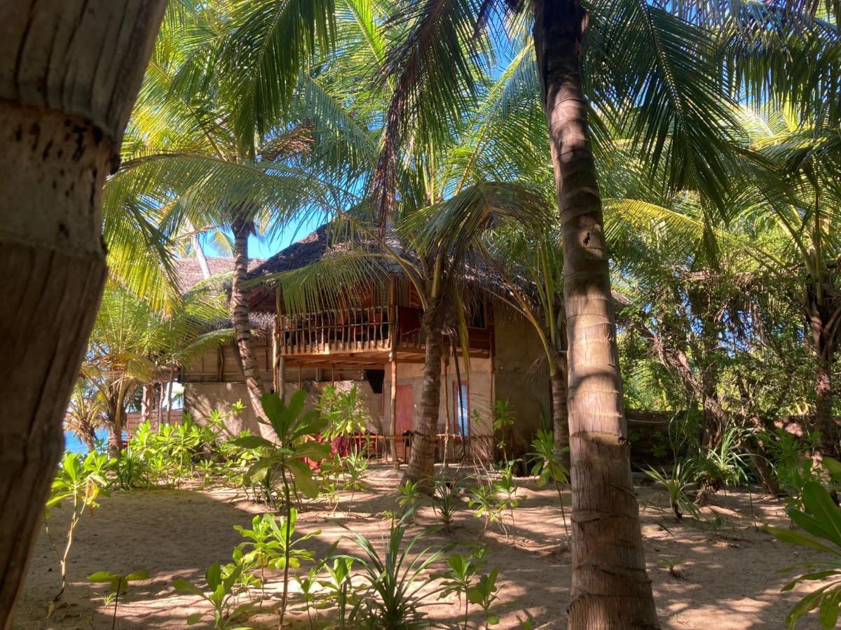 The Alpha Monkey Hotel & Tree House タンガラ エクステリア 写真