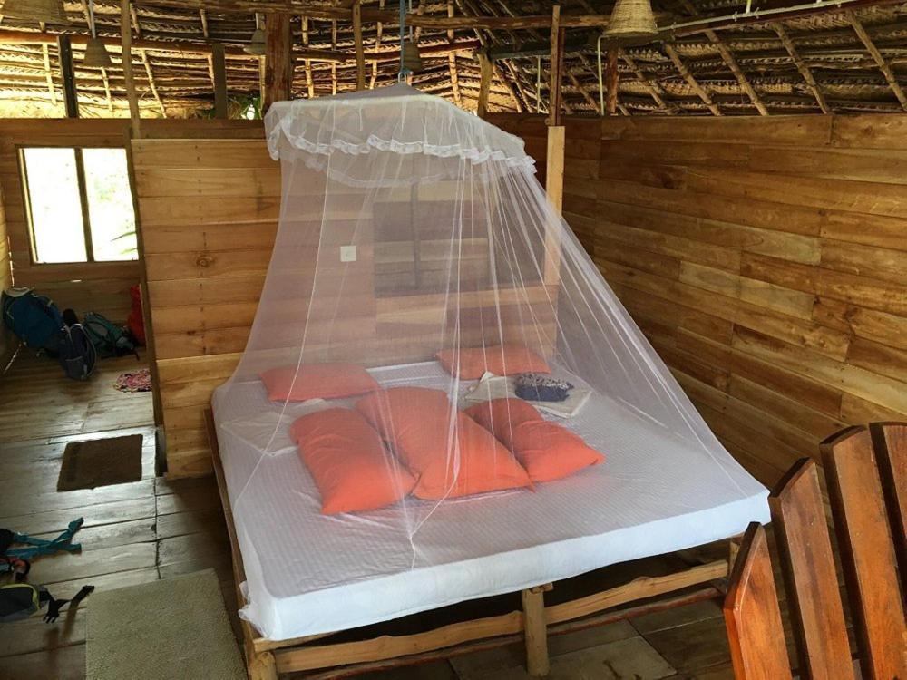 The Alpha Monkey Hotel & Tree House タンガラ エクステリア 写真