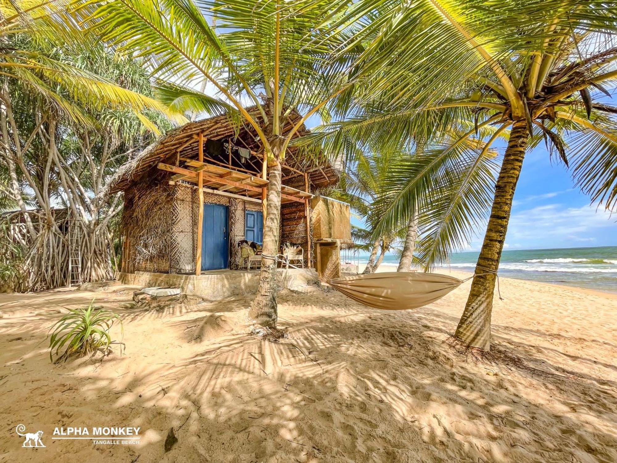 The Alpha Monkey Hotel & Tree House タンガラ エクステリア 写真