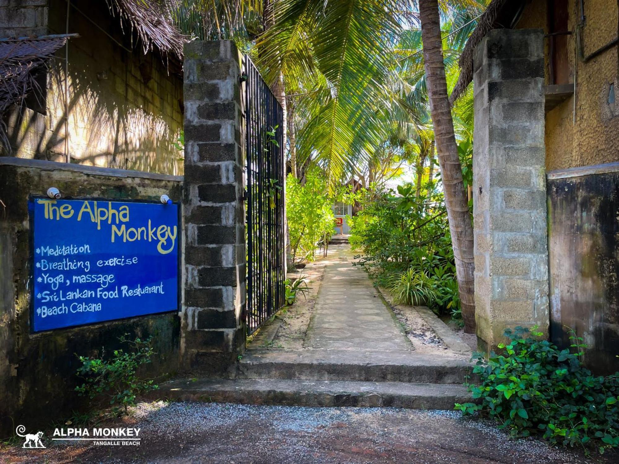 The Alpha Monkey Hotel & Tree House タンガラ エクステリア 写真