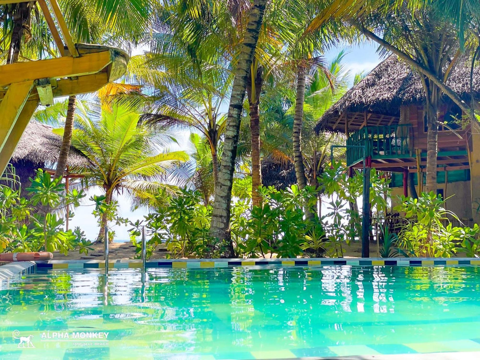 The Alpha Monkey Hotel & Tree House タンガラ エクステリア 写真