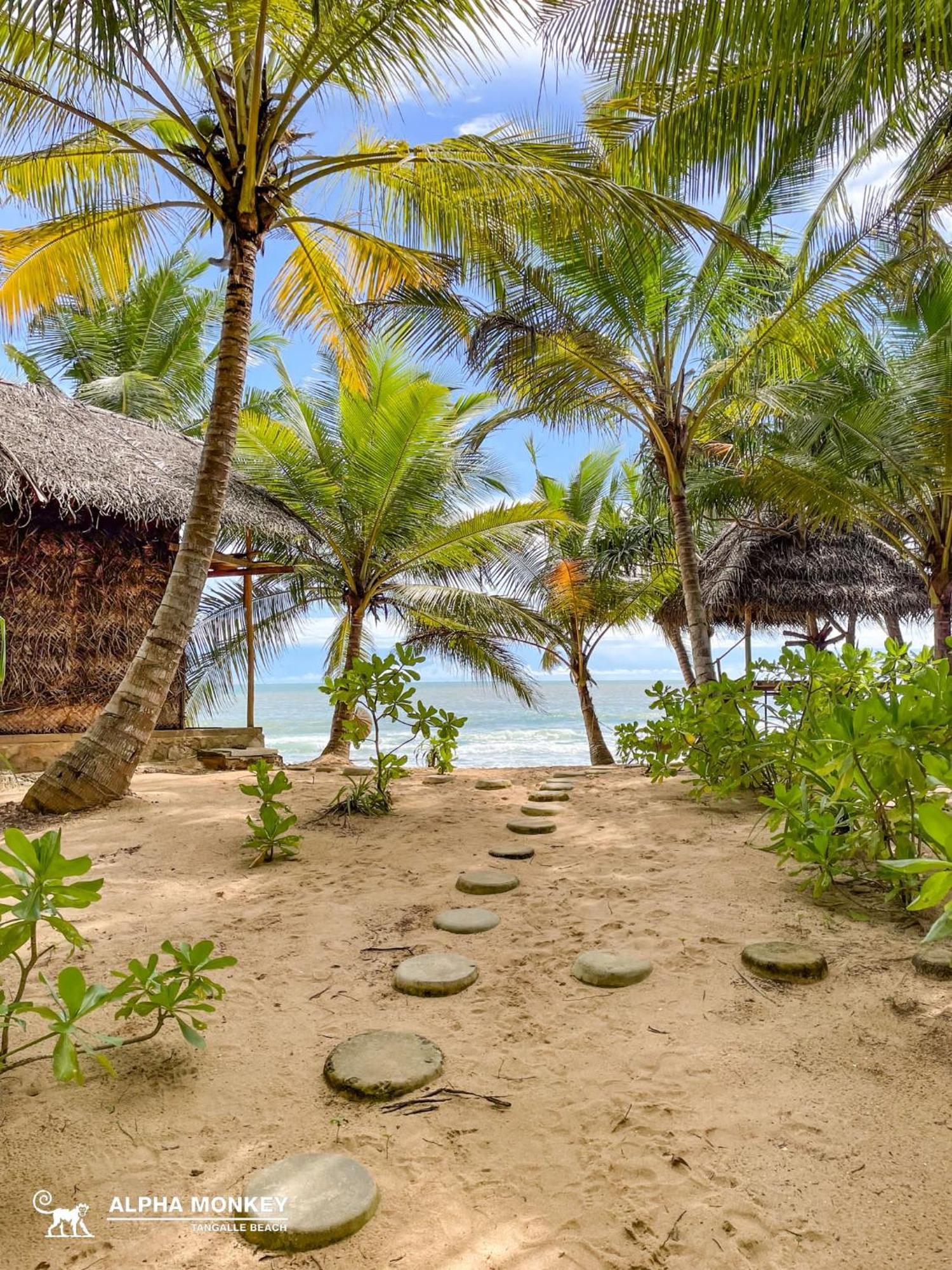 The Alpha Monkey Hotel & Tree House タンガラ エクステリア 写真
