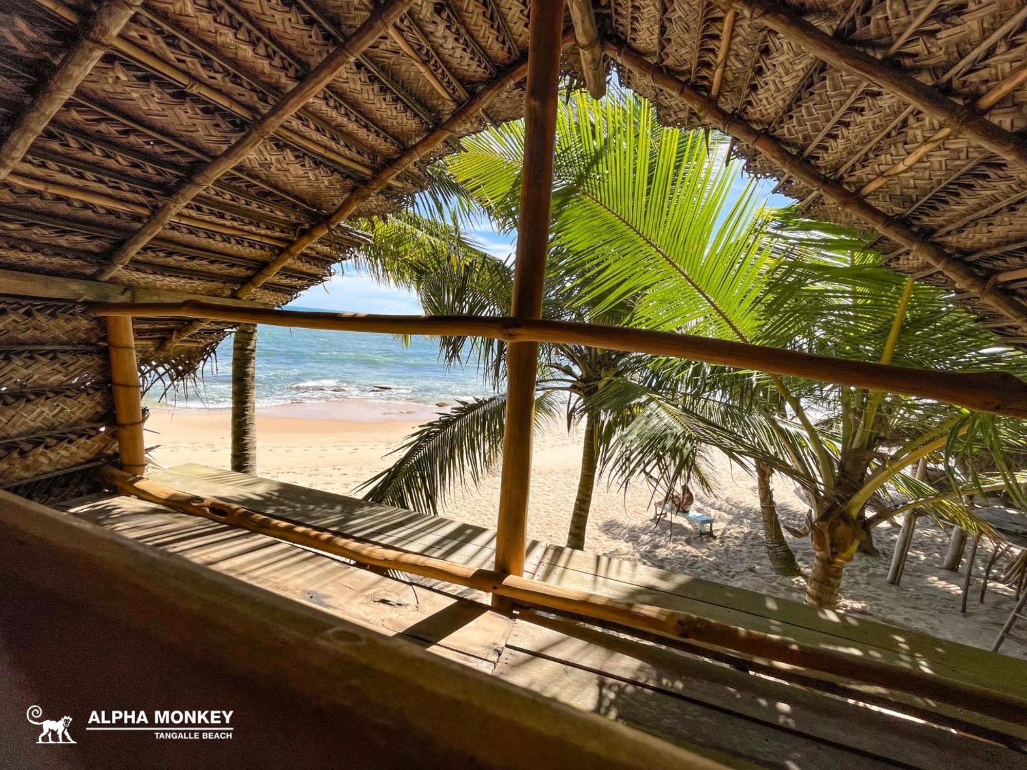 The Alpha Monkey Hotel & Tree House タンガラ エクステリア 写真