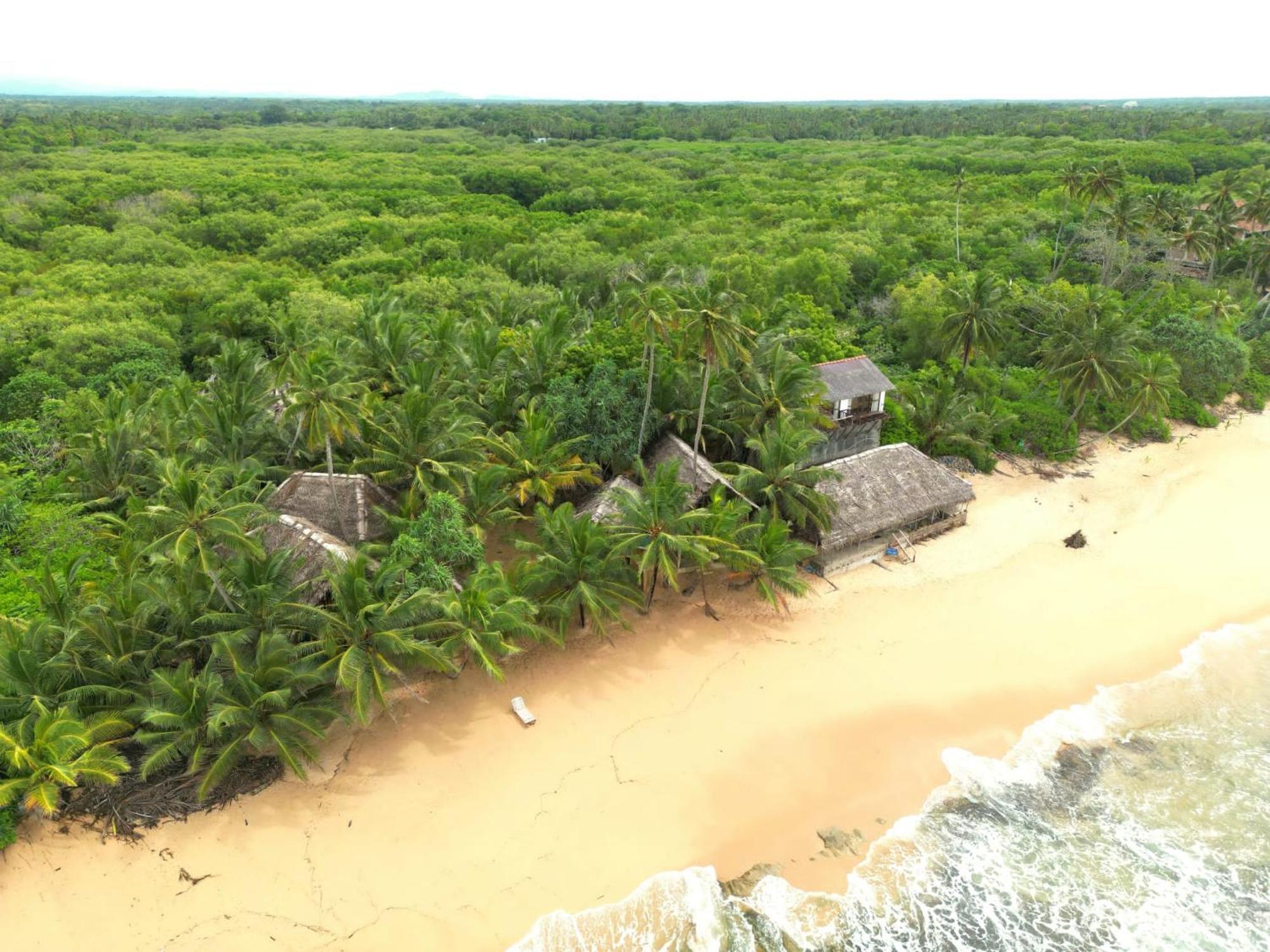 The Alpha Monkey Hotel & Tree House タンガラ エクステリア 写真