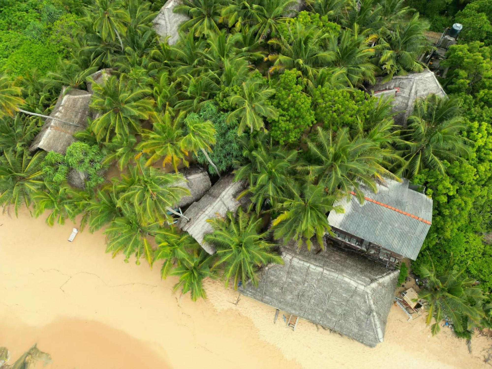 The Alpha Monkey Hotel & Tree House タンガラ エクステリア 写真