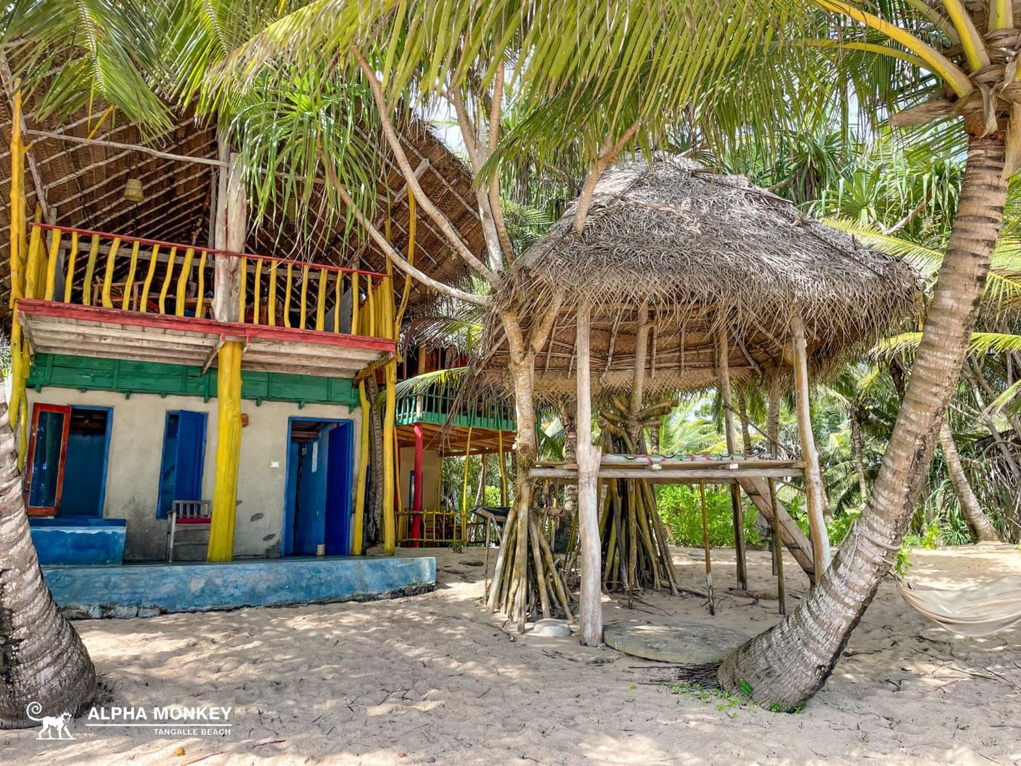 The Alpha Monkey Hotel & Tree House タンガラ 部屋 写真
