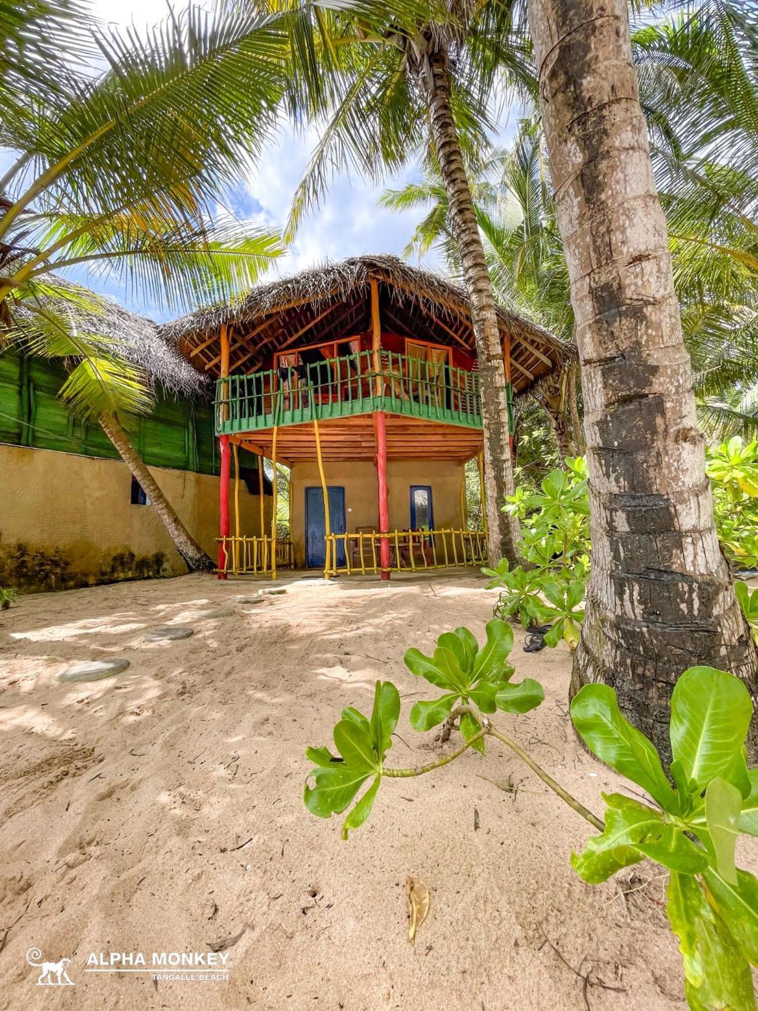 The Alpha Monkey Hotel & Tree House タンガラ 部屋 写真