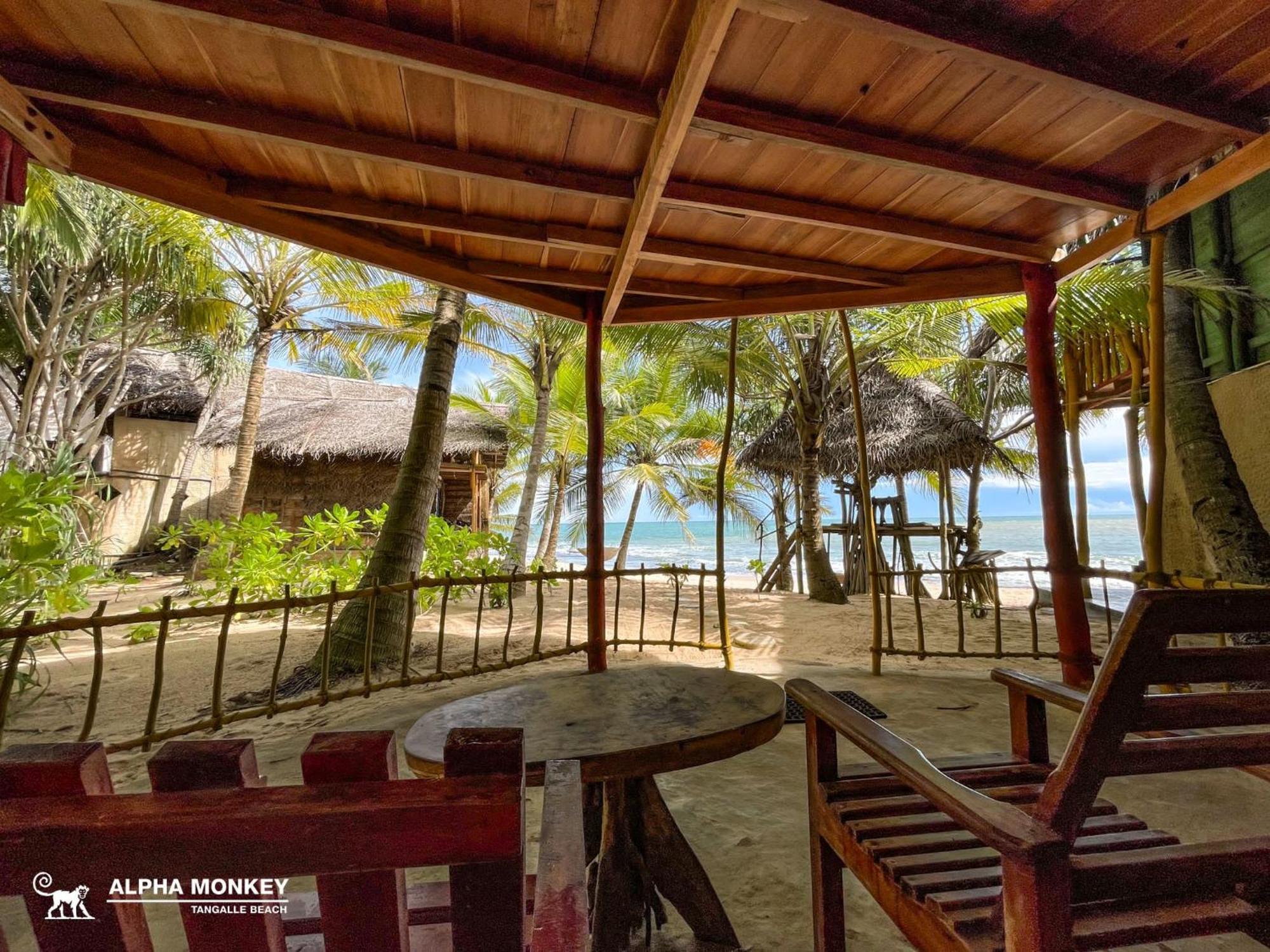 The Alpha Monkey Hotel & Tree House タンガラ 部屋 写真