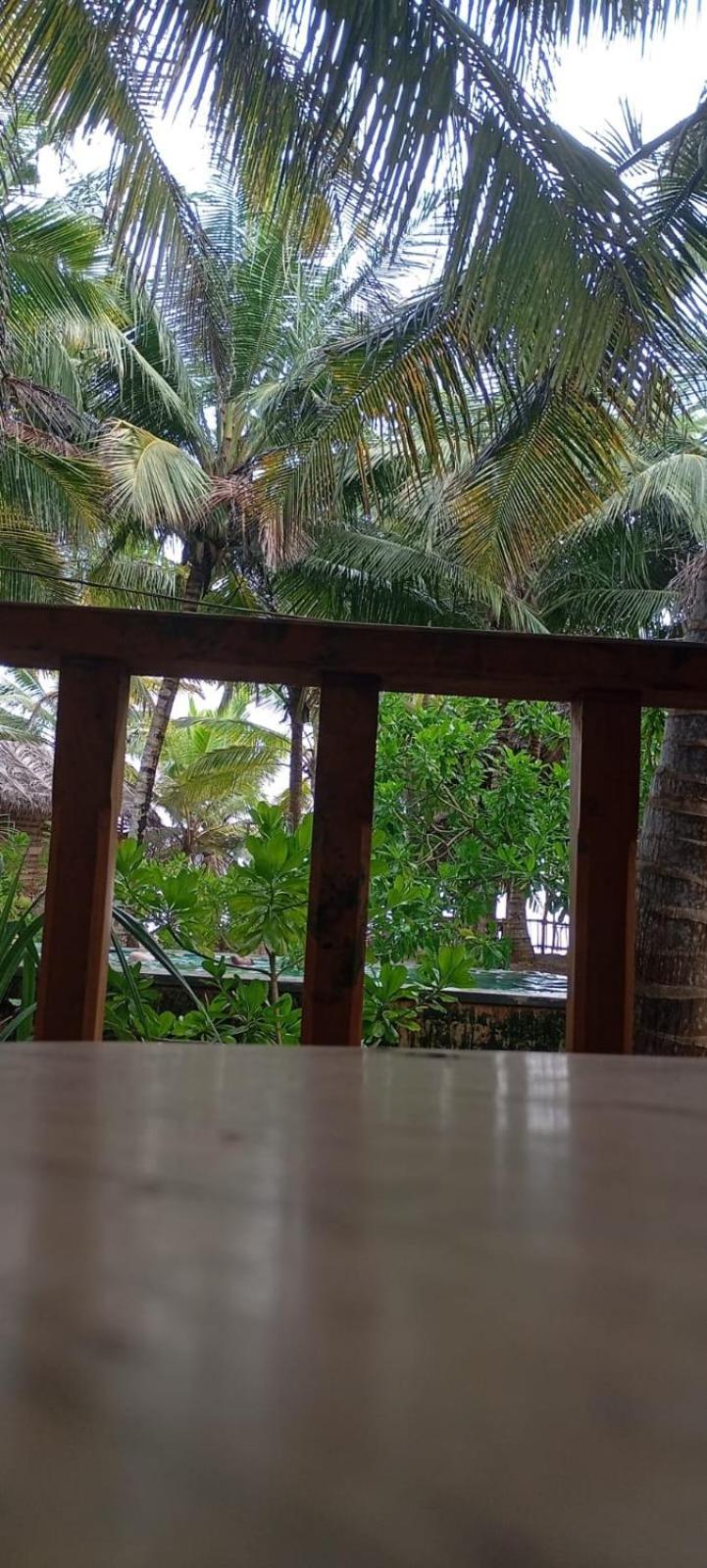 The Alpha Monkey Hotel & Tree House タンガラ エクステリア 写真