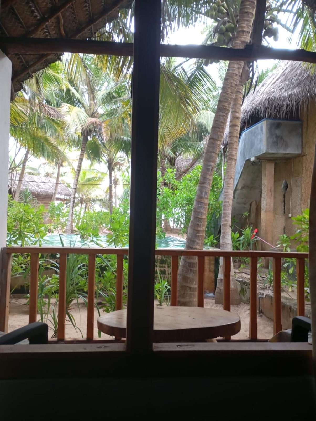 The Alpha Monkey Hotel & Tree House タンガラ エクステリア 写真