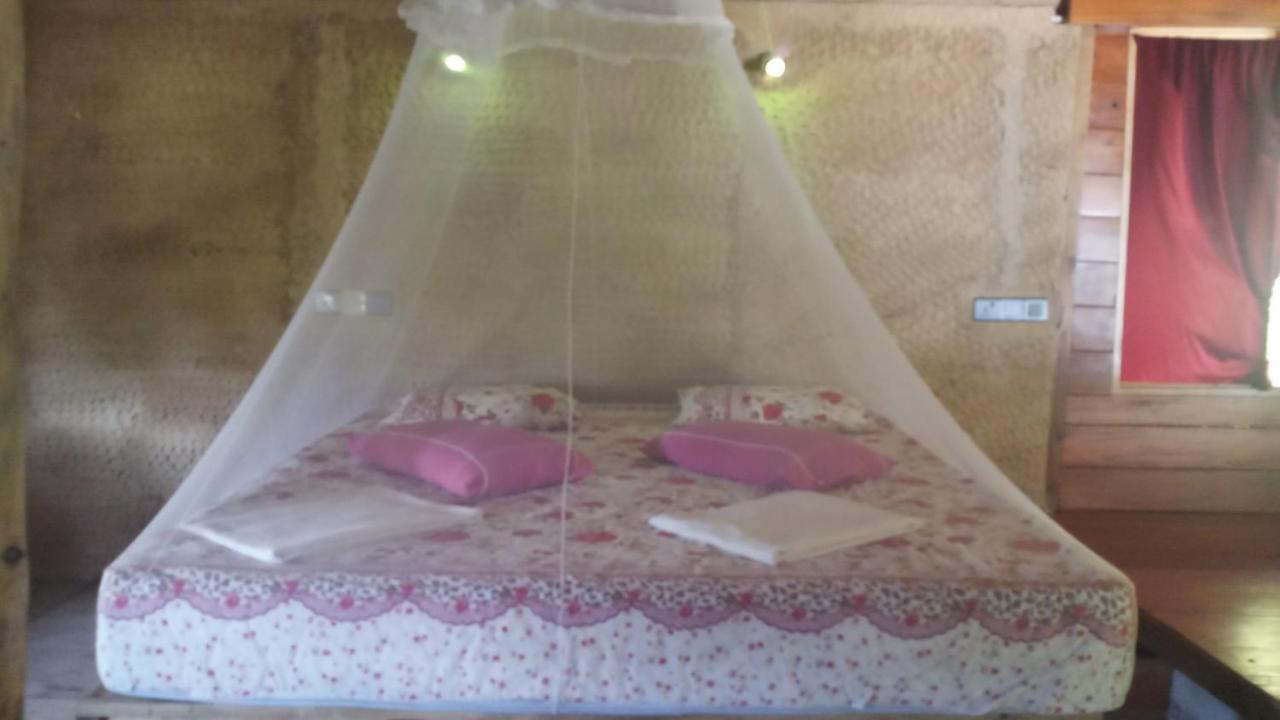 The Alpha Monkey Hotel & Tree House タンガラ エクステリア 写真