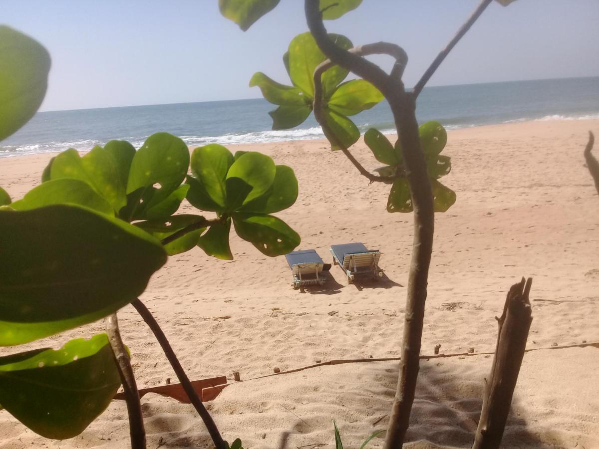 The Alpha Monkey Hotel & Tree House タンガラ エクステリア 写真